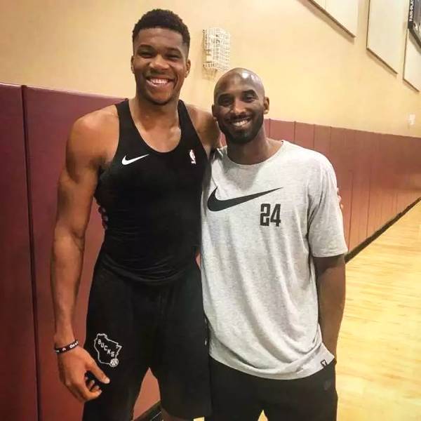 总体来看 总体来看